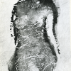 Akt Torso 1969